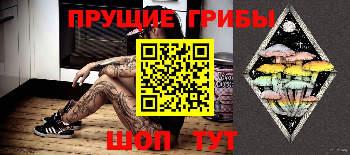 где купить   Псилоцибиновые грибы прущие грибы  Вход с VPN  Димитровград 
